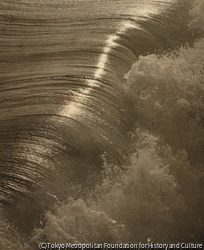 河野 浅八