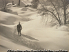 雪の中を歩く