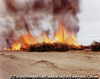 Desert Fire #81