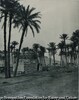 Le Caire, Tombeau d'un cheikh, pres de Sakkara