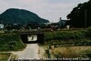 兵庫県佐津 2008. 7
