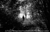 Teen at Forest, Nabua, 2008