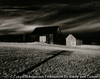 Two Barns, Dansville, New York