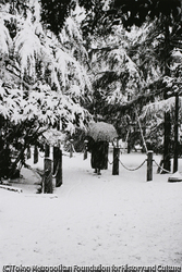 桑原 甲子雄