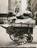 Flower Peddler's Pushcar