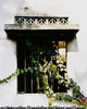 WINDOWS-East Timor, 2000