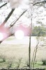 いわき市、福島