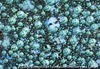 発熱するイメージ＝白虎社