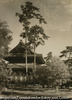 （二本の松と寺）