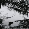 白浜