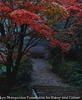 室生寺秋景
