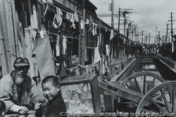 桑原 甲子雄