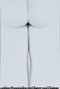 作品3