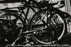 自転車