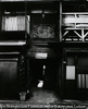 文京区根津
