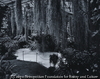 東山Ⅱ、1988