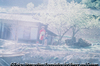 朝鮮 (韓国)