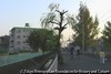 伊丹 2009年 冬‐2010年 春