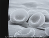 Red blood corpuscles (Erythrocytes), magnified 20,000 times
