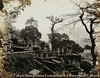 Japanese Aristocratic Cemetery