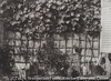 La Treille - deuxième version.