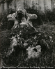 Licorne à Bomarzo