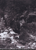 Torrent