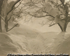雪