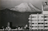 東京富士