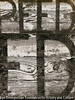 板と文字 1954