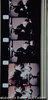 Gerard Malanga and Lou Reed during first public appearance of Velvet Underg