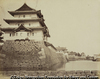 TOKIO