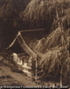 池上本門寺附近