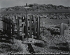Graveyard, Rhyolite, Nevada
