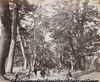 Tokaido road