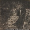 （石の階段）