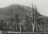 日光戦場ヶ原