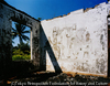 WINDOWS-East Timor, 2000
