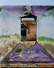 WINDOWS-East Timor, 2000