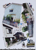平井 迷彩ハウス