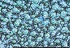 発熱するイメージ＝白虎社