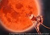 太陽熱保存則
