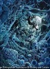 ウィルスゾーン