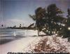 Lagoon #1 (Yucatan)