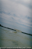 AMAMIOSHIMA