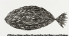 Fish Made of Fish, New York