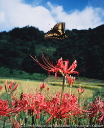 浜野 栄次