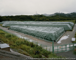 広川 泰士