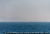 #1 Lesvos Island, Greece