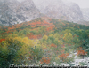 秋の終章（涸沢の紅葉と新雪）